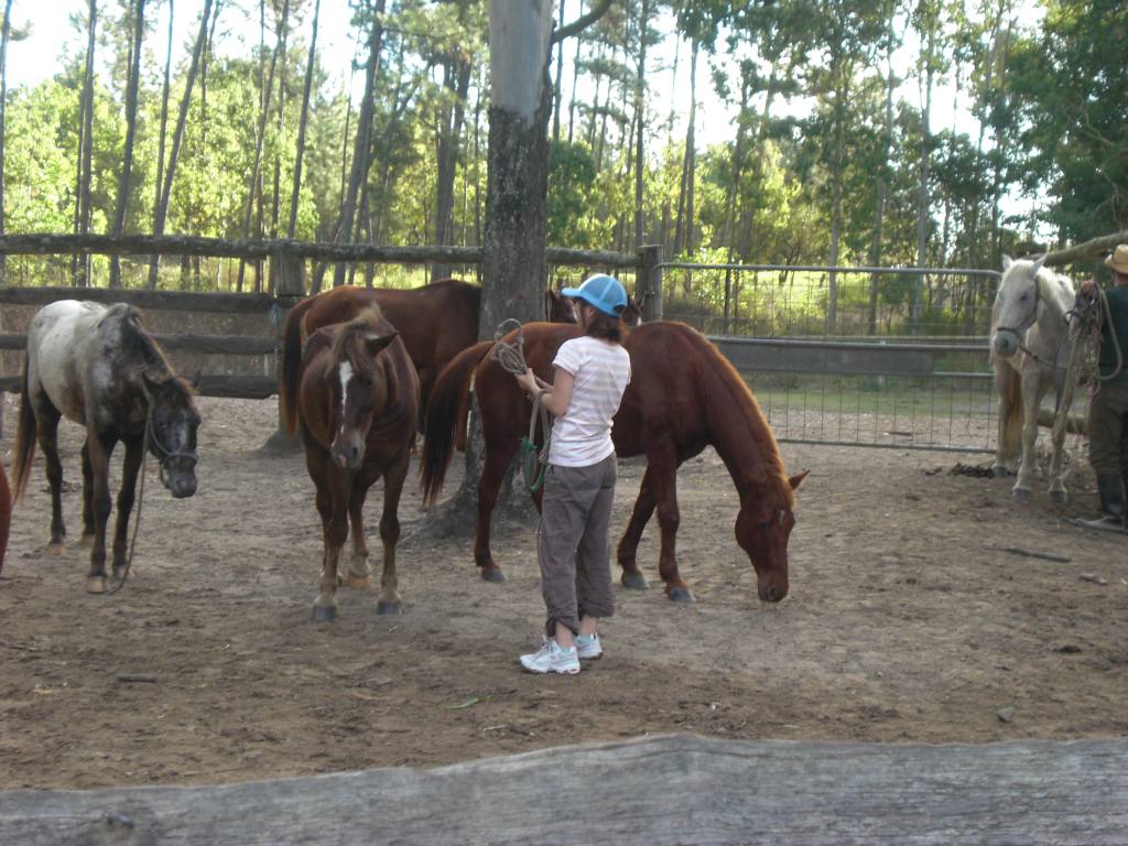 20110112-2